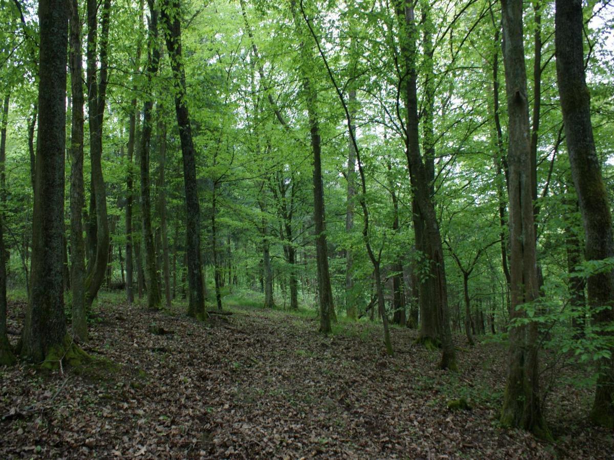 Вилла L'Ermitage Du Rebberg Урматт Экстерьер фото